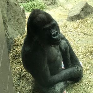 Meet your Posher, Max